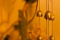 WhatsApp-Image-2025-12-29-at-13.34.20-5